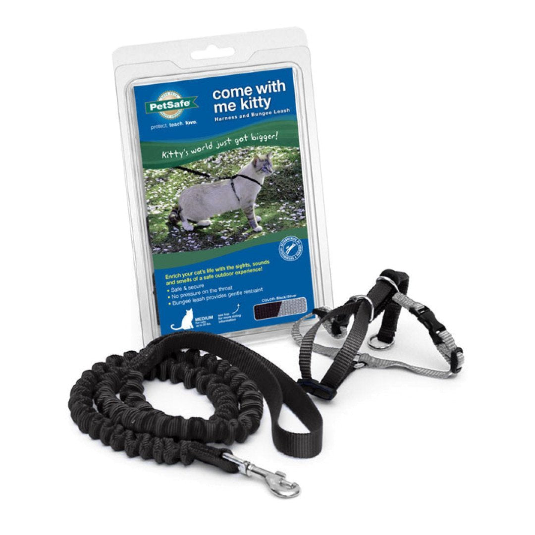 Come With Me Kitty Harness and Leash Black L-Four Muddy Paws