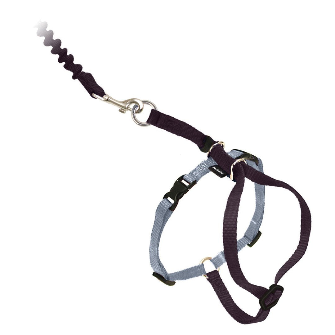 Come With Me Kitty Harness and Leash Black L-Four Muddy Paws