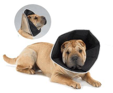 Comfy hotsell cone collar