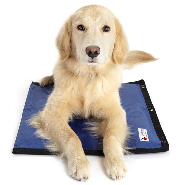 CoolerDog Hydro Cooling Mat-Four Muddy Paws