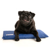 CoolerDog Mini Hydro Cooling Mat-Four Muddy Paws