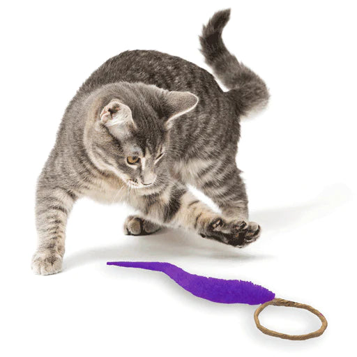 Dezi and Roo A-lure-ring Cat Toy-Four Muddy Paws