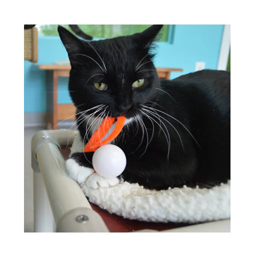 Dezi and Roo Wiggly Pong Cat Toy-Four Muddy Paws