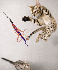 Dezi and Roo Wiggly Wand Cat Toy-Four Muddy Paws