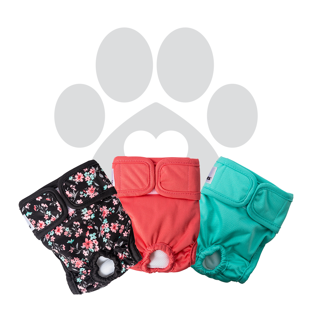 Dog Diapers-Four Muddy Paws
