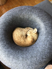 Donut Cat Bed and Cave-Four Muddy Paws