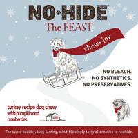 EARTH ANIMAL HOLIDAY NO HIDE CHEWS HOLIDAY 4" 2PK-Four Muddy Paws