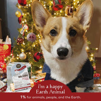 EARTH ANIMAL HOLIDAY NO HIDE CHEWS HOLIDAY 4" 2PK-Four Muddy Paws