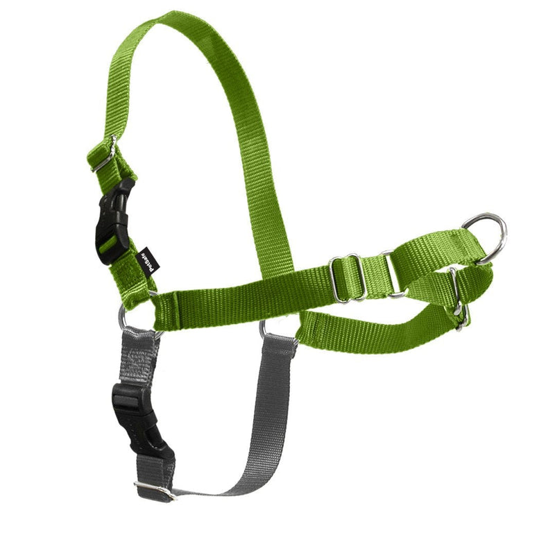 Easy Walk Harness Petite/Small Green-Four Muddy Paws
