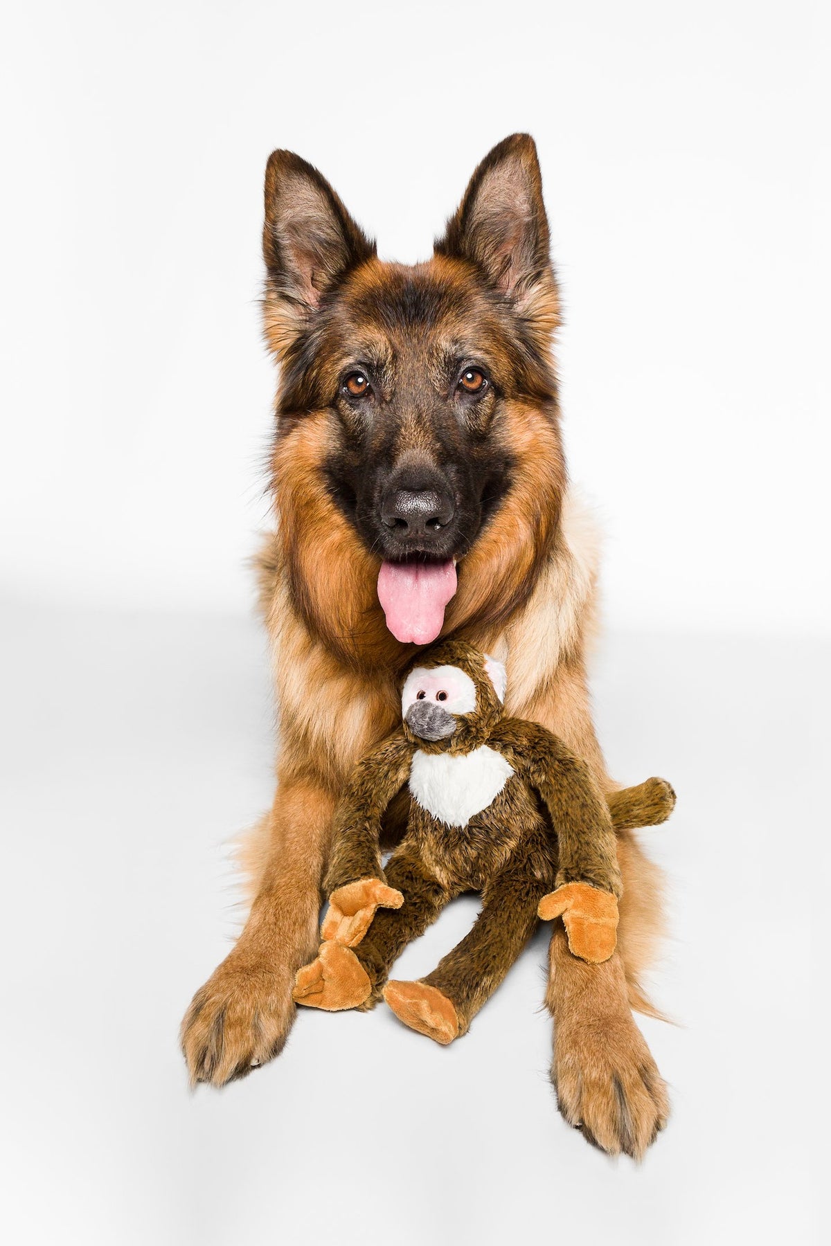 FLUFF AND TUFF ALBERT MONKEY DOG TOY-Four Muddy Paws