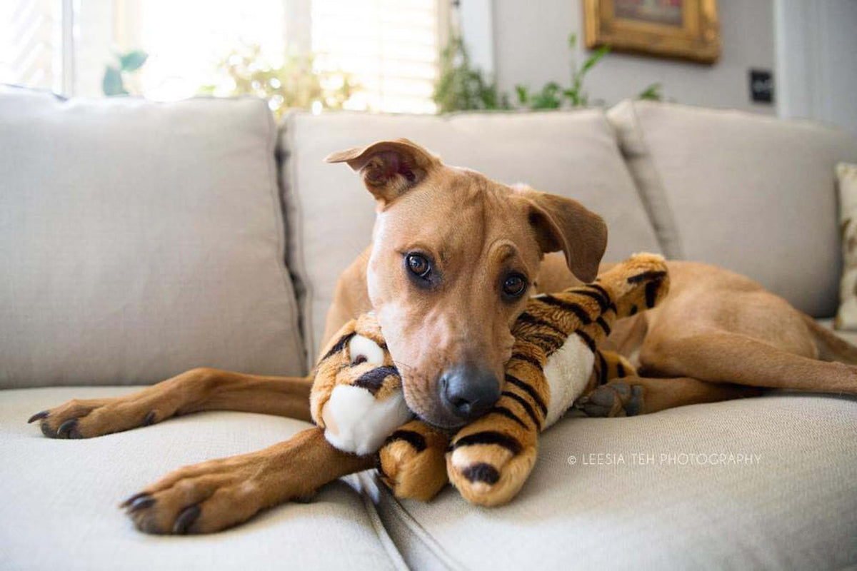 FLUFF AND TUFF BOOMER TIGER DOG TOY-Four Muddy Paws