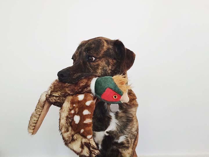 FLUFF AND TUFF IKE PHEASANT DOG TOY-Four Muddy Paws