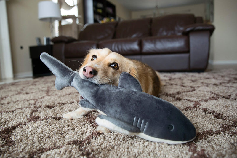 FLUFF AND TUFF MAC THE SHARK DOG TOY-Four Muddy Paws