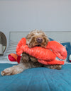 FLUFF AND TUFF MANNY LOBSTER DOG TOY-Four Muddy Paws