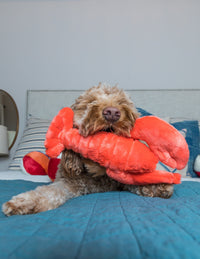 FLUFF AND TUFF MANNY LOBSTER DOG TOY-Four Muddy Paws