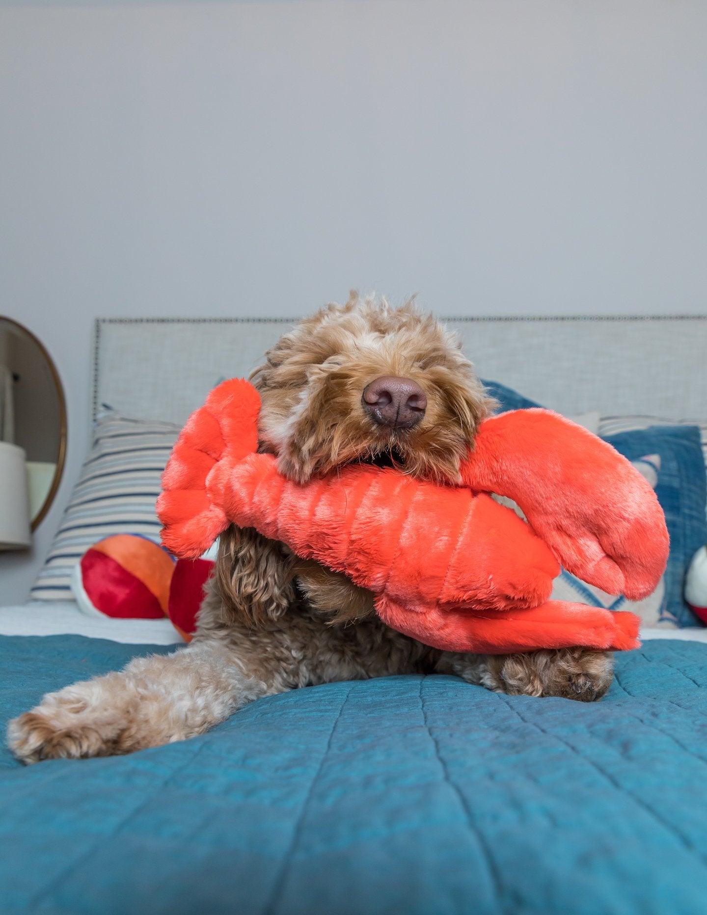 FLUFF AND TUFF MANNY LOBSTER DOG TOY-Four Muddy Paws