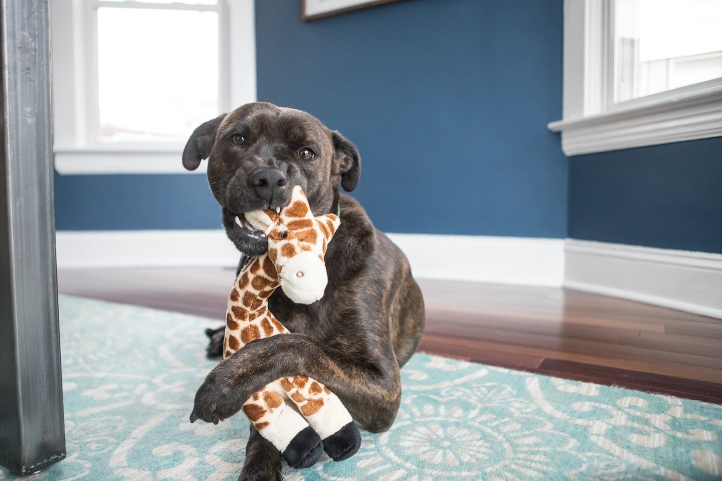 FLUFF AND TUFF NELLY GIRAFFE DOG TOY-Four Muddy Paws