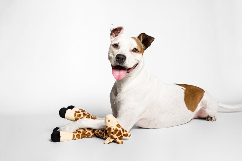 FLUFF AND TUFF NELLY GIRAFFE DOG TOY-Four Muddy Paws