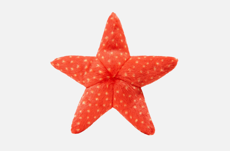 FLUFF AND TUFF ZIGGY STARFISH DOG TOY-Four Muddy Paws