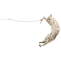 Feather N'Bell Wand Cat Toy-Four Muddy Paws