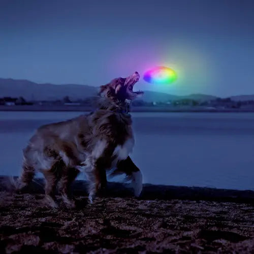 FlashFlight Dog Discuit LED Flying Disc-Four Muddy Paws