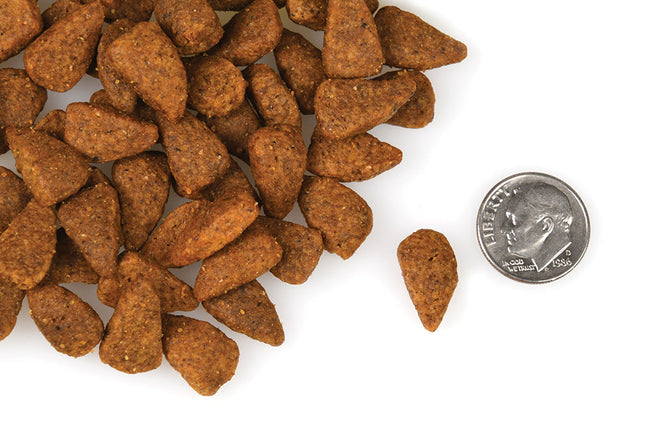 Fromm Grain Free Chicken Au Frommage Dog Food 26lb-Four Muddy Paws
