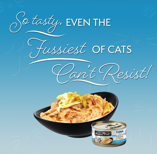 Fussie Cat Premium Tuna Small Anchovies in Gravy 2.82oz-Four Muddy Paws