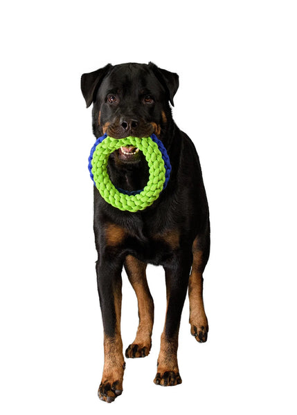 Green Tug Rope Large-Four Muddy Paws