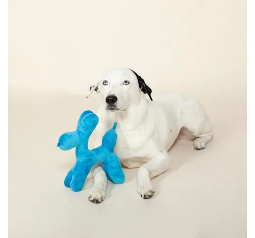 Happy Birthday Balloon Plush Small Dog Toy Small-Four Muddy Paws
