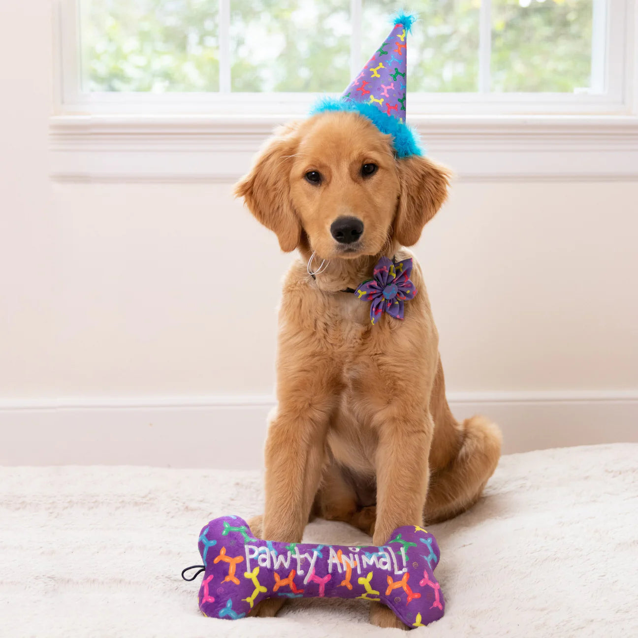 Huxley and Kent Party Hat Balloon Doggy Large-Four Muddy Paws