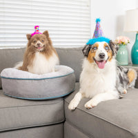 Huxley and Kent Party Hat Balloon Doggy Small-Four Muddy Paws