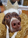 Huxley and Kent Party Hat Gold Large-Four Muddy Paws