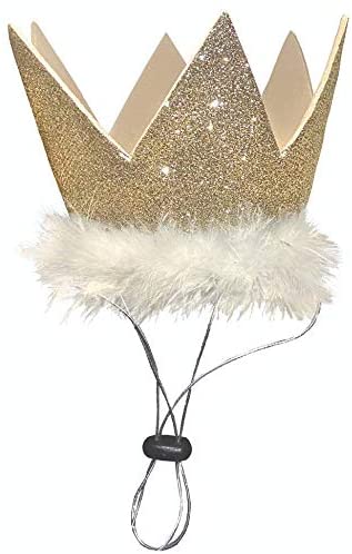 Huxley and Kent Party Hat Gold Large-Four Muddy Paws