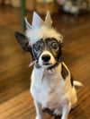 Huxley and Kent Party Hat Silver Small-Four Muddy Paws