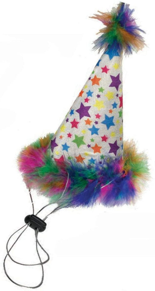 Huxley and Kent Party Hat Superstar Large-Four Muddy Paws