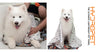 HydroPet Towel Paw Print Large-Four Muddy Paws