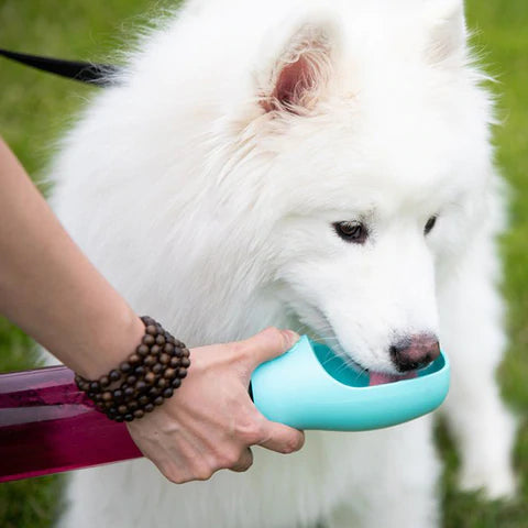 HydroSMART Pro Natural-Four Muddy Paws