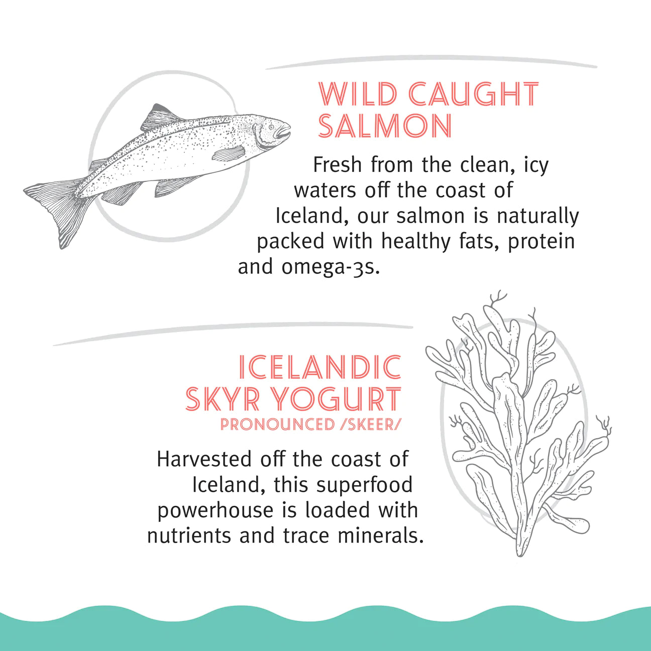 Icelandic Cat Nibblets Salmon & Seawood 2.25oz-Four Muddy Paws