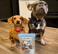 Icelandic Dog Herring Fish Whole 3oz-Four Muddy Paws