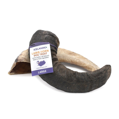 Icelandic Dog Lamb Horn Chew Large-Four Muddy Paws