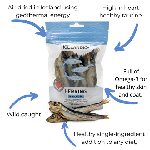 Icelandic Herring Whole Fish 3oz-Four Muddy Paws