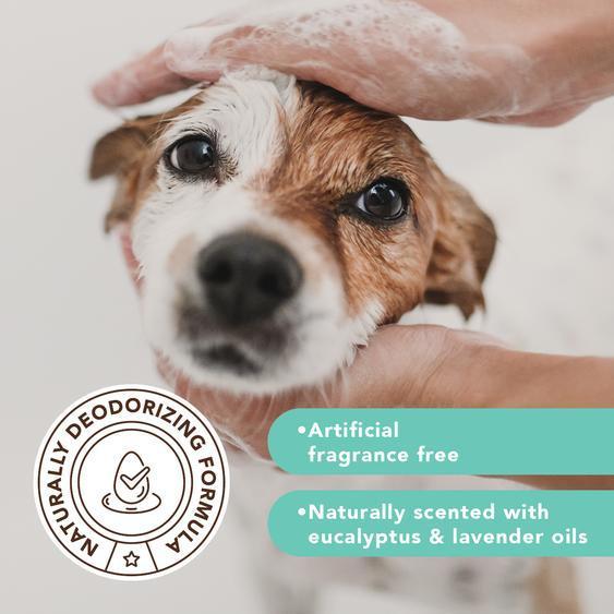 Itchy Dog Natural Shampoo 12oz-Four Muddy Paws