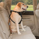 Kurgo Dog Direct to Seatbelt Tether with Carabiner Black and Orange-Four Muddy Paws