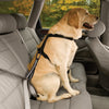 Kurgo Dog Seatbelt Tether Carabineer-Four Muddy Paws