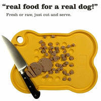 LARGE BONE TEAL FEEDING PLATTER LARGE TEAL-Four Muddy Paws