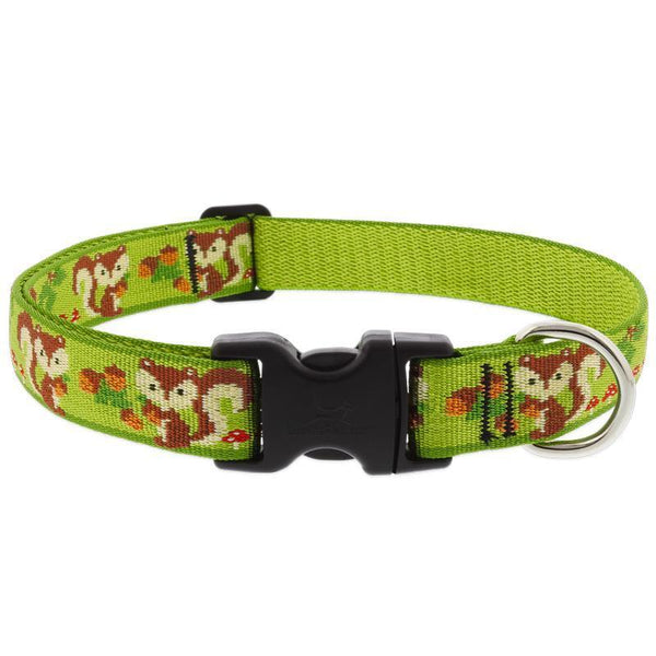 Lupine MicroBatch Collar: Four Your Paws Only