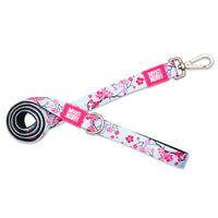 Max and Molly Dog Collar and Leash Cherry Bloom-Four Muddy Paws