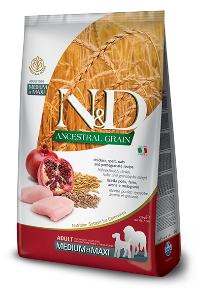 N&D ANCESTRAL GRAIN ADULT DOG CHICKEN AND POMEGRANATE 26.4lb-Four Muddy Paws