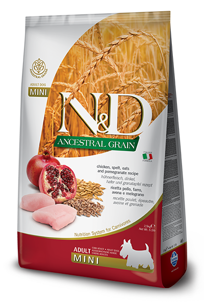 N&D ANCESTRAL GRAIN ADULT DOG CHICKEN AND POMEGRANATE MINI 5.5lb-Four Muddy Paws