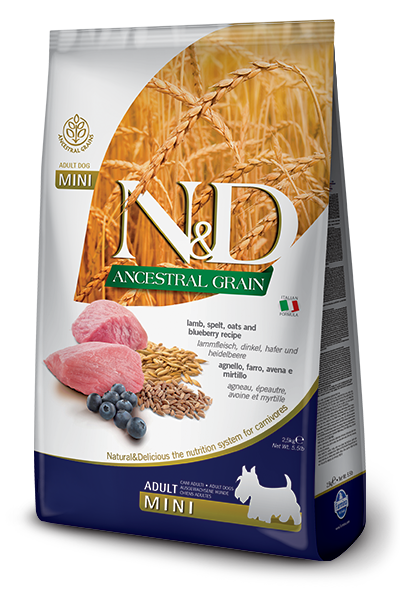 N&D ANCESTRAL GRAIN ADULT DOG LAMB AND BLUEBERRY MINI 5.5lb-Four Muddy Paws